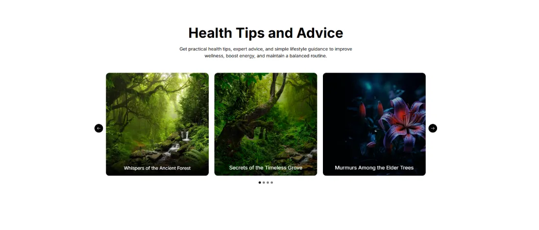 Gallery . Carousel 02