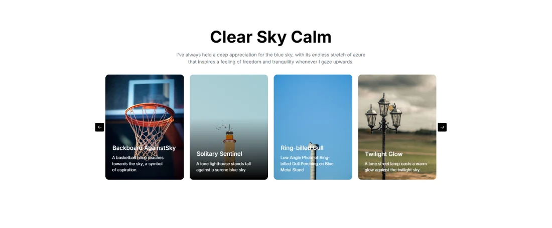 Gallery . Carousel 06